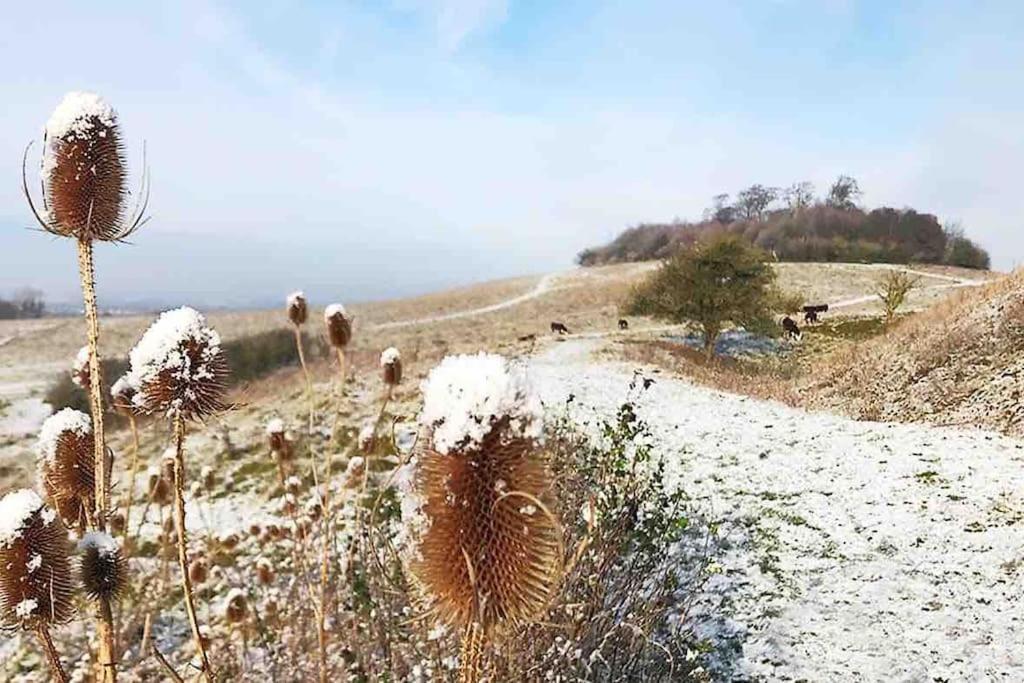 Oxfordshire Country
