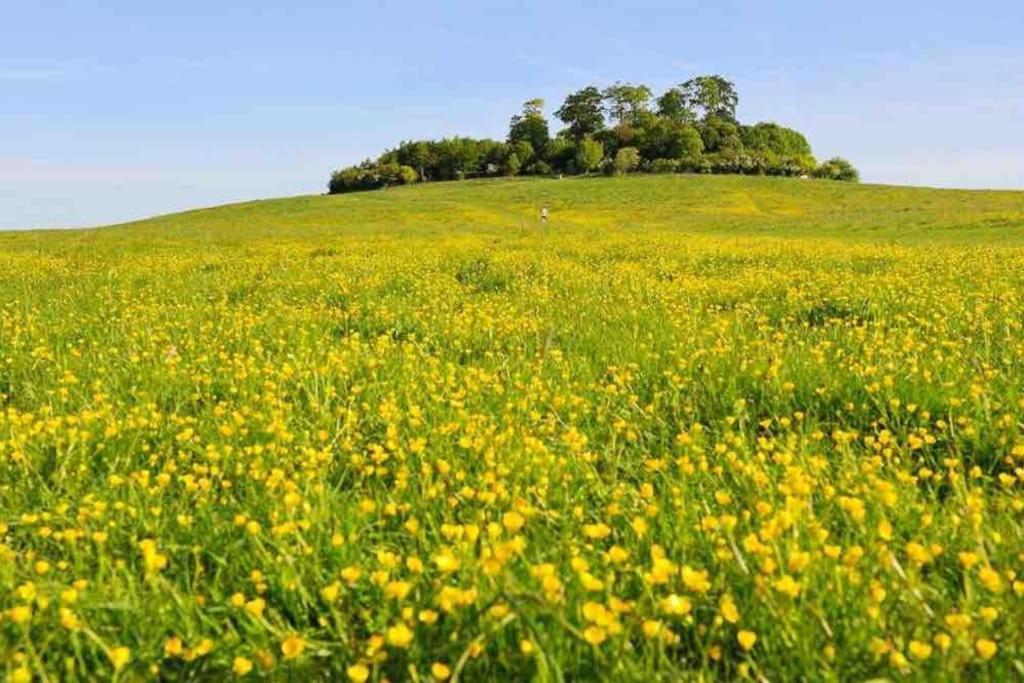 Дом отдыха Oxfordshire Country